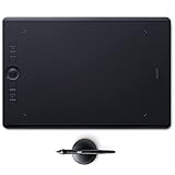 Wacom Intuos Pro Drawing Tablet, Large 16.8" x 11.2" Wireless Graphics Art Tablet with Pro Pen 2 &...