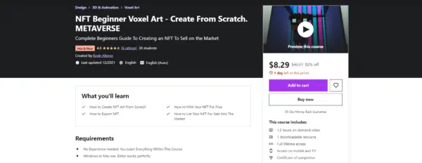 NFT Beginner Voxel Art. 
