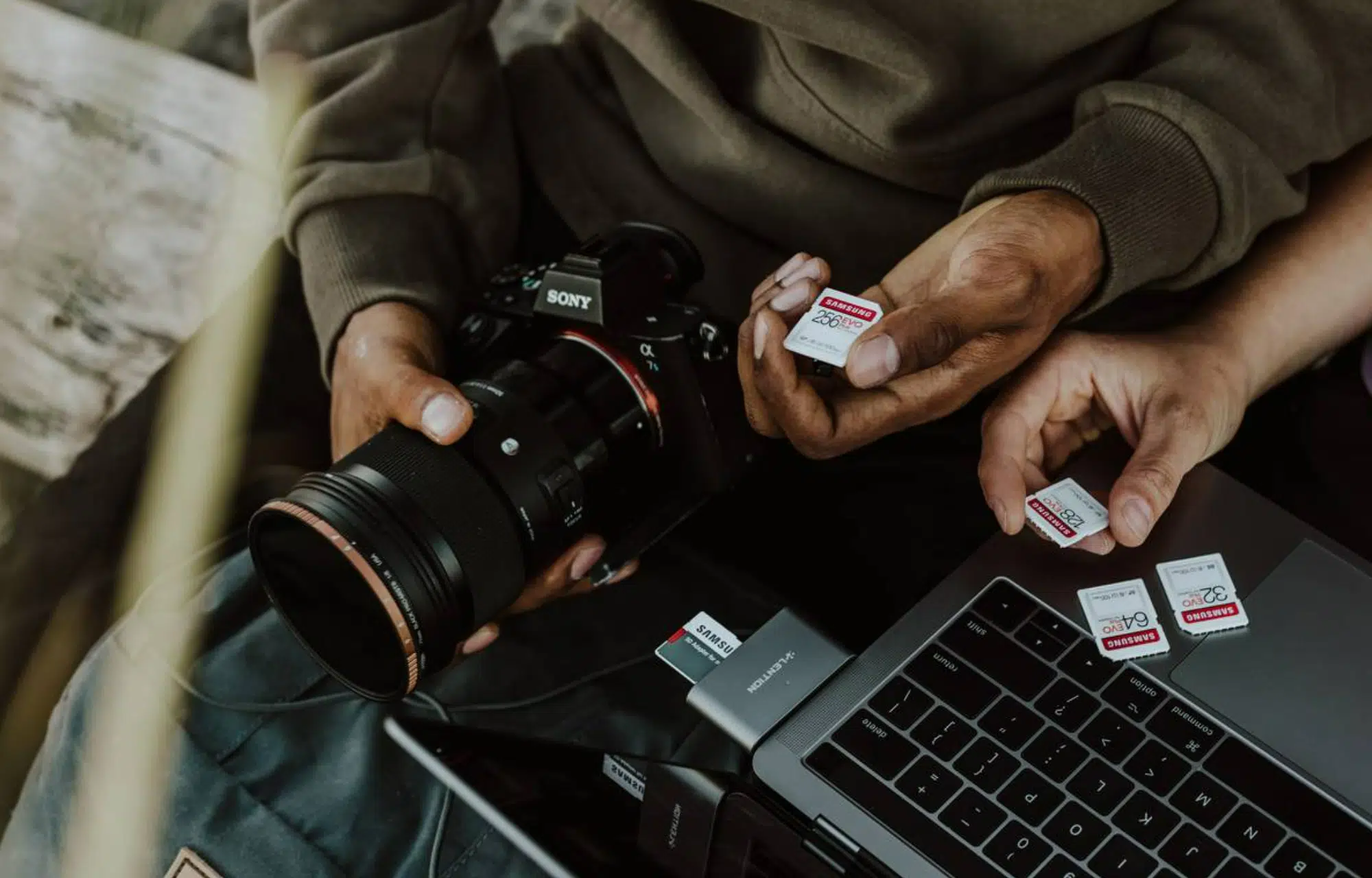 Best Cameras & Memory Cards for Beginners