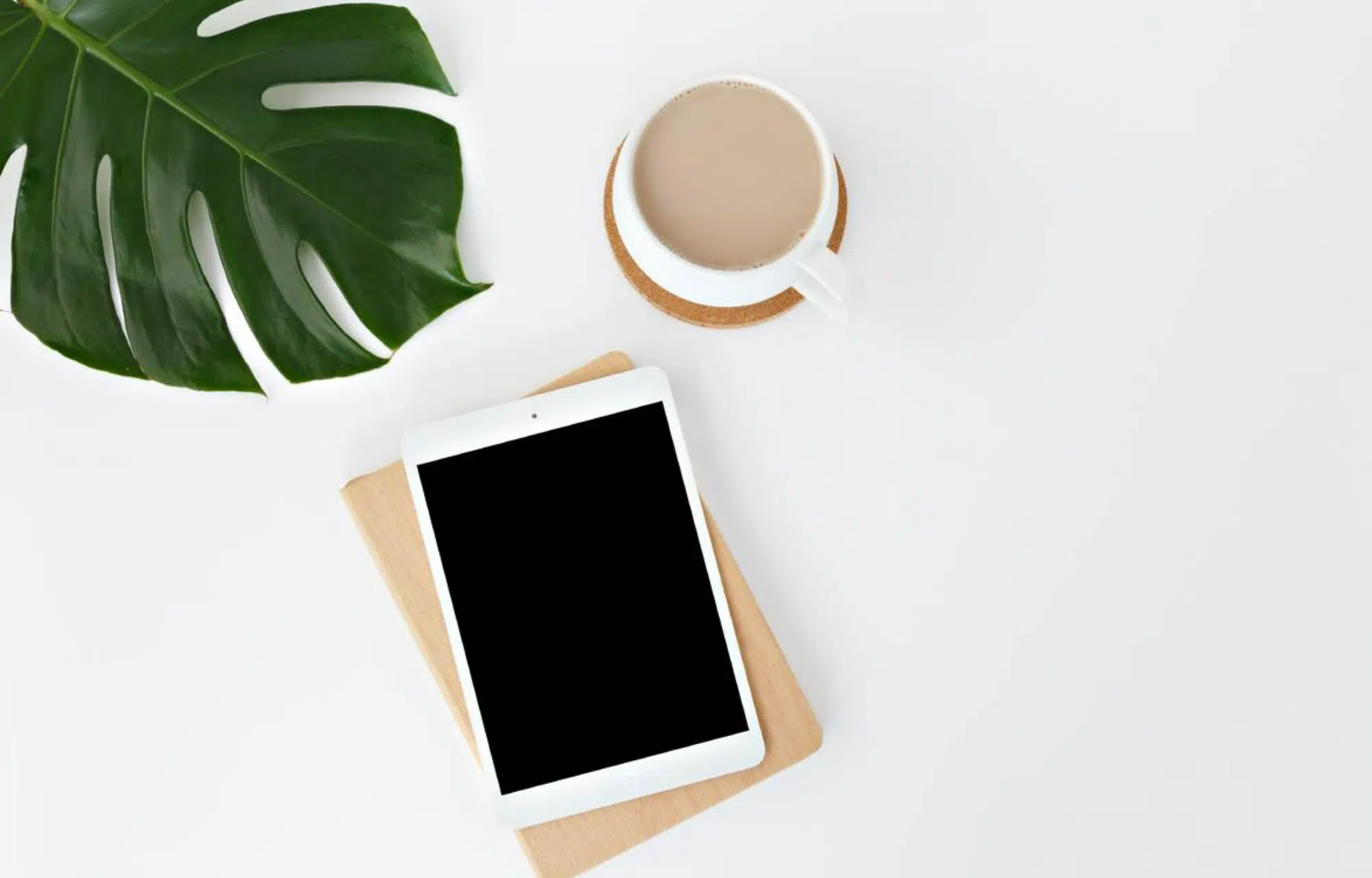 Best Screen Protector for iPad