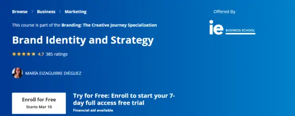 Brand Identity and Strategy