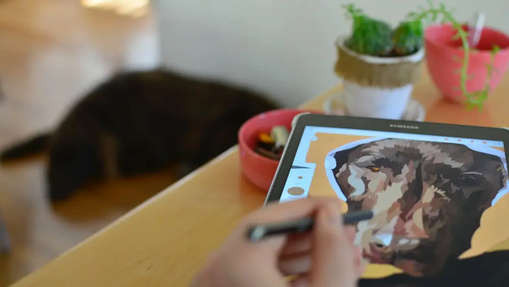 5 Tips To Become A Better Illustrator