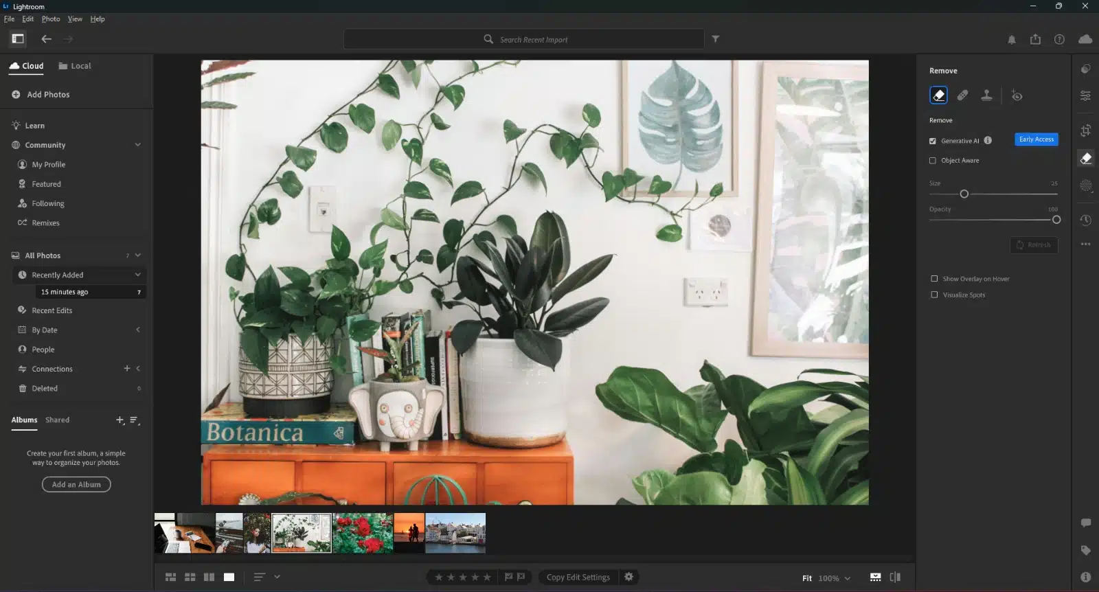Generative Remove by Adobe Lightroom