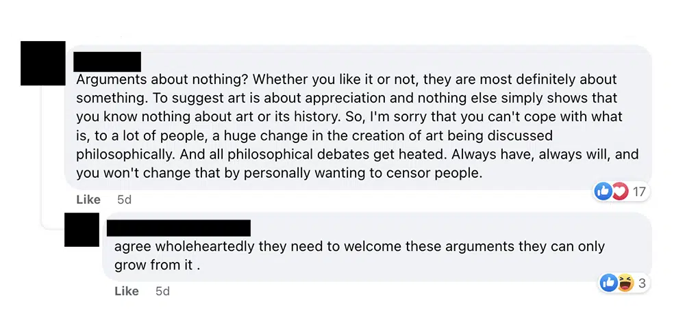 Example comments from AI Facebook Groups