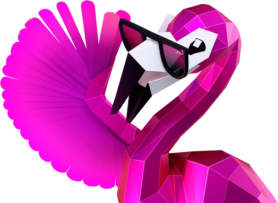 Pinky the Flamingo Sliding Glasses