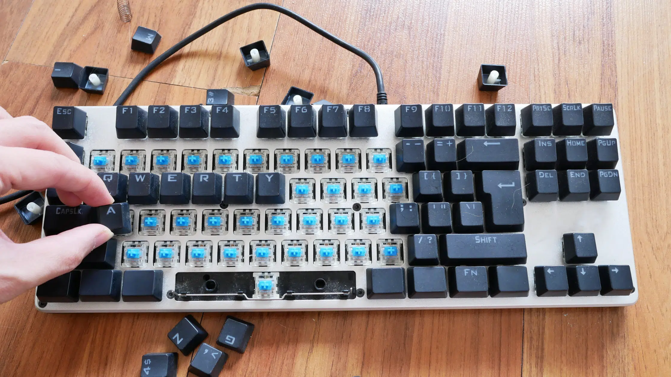Quiet Mechanical Keyboards