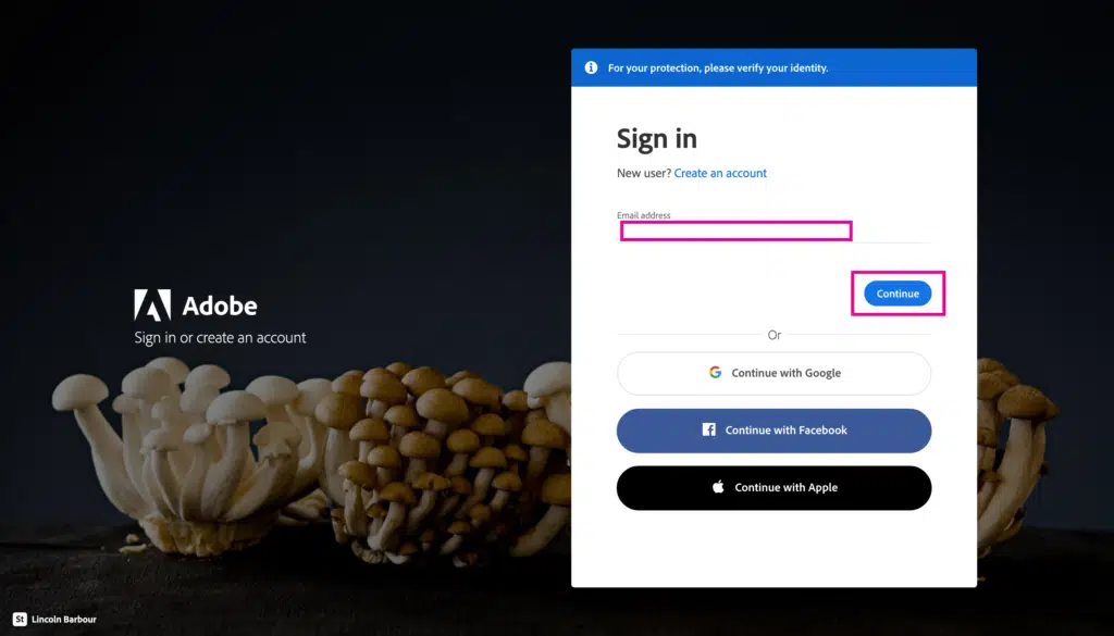 Deleting your Adobe account - Step 1