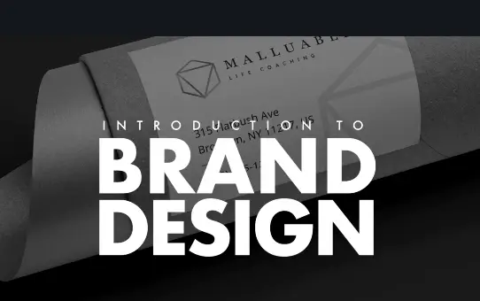 The Branding Masterclass The Entire Brand Design Process